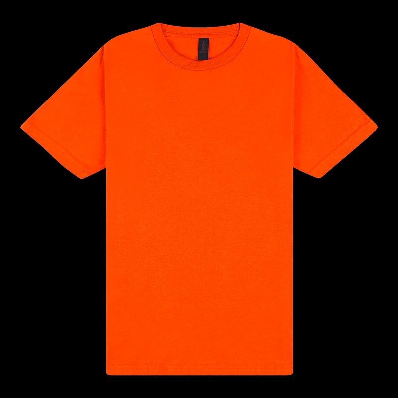 65000 Gildan Softstyle Adult Midweight T-Shirt