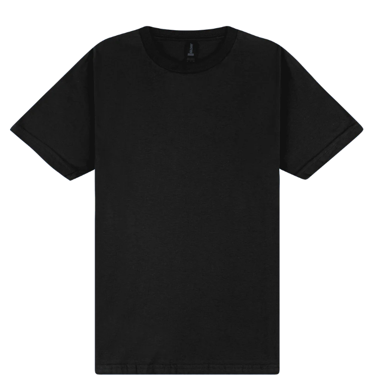 65000 Gildan Softstyle Adult Midweight T-Shirt